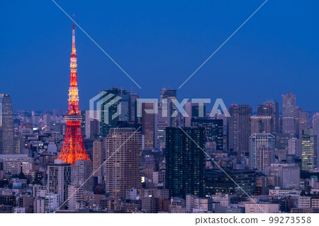 《東京》東京夜景，暮光之城 99273558