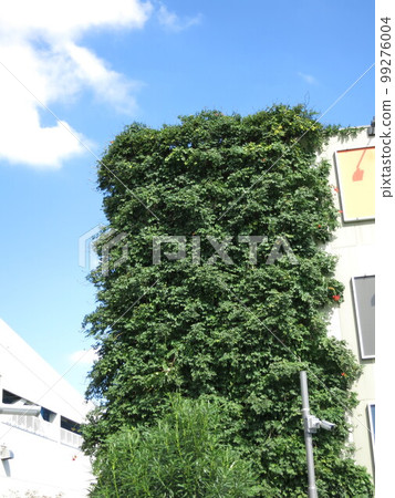 Exterior wall design using plants 99276004