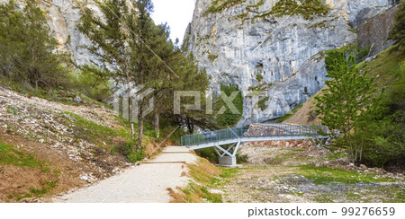 Gorge of La Yecla, Burgos, Spain 99276659