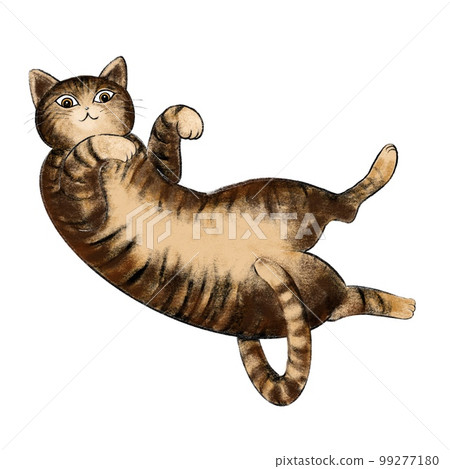 Navel heaven tabby cat, tabby cat illustration, tiger cat illustration, belly button cat 99277180