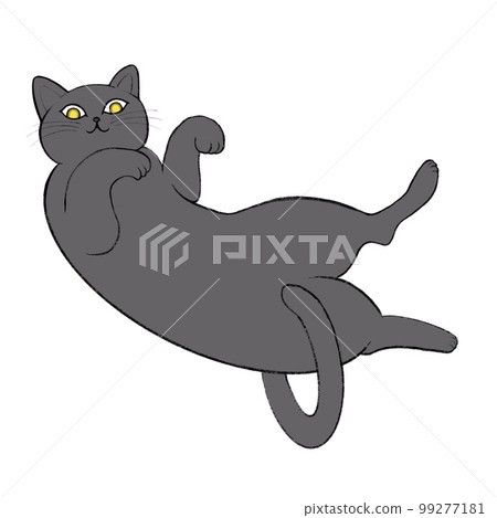 navel heavenly cat, russian blue supine illustration, gray cat illustration, navel heavenly cat 99277181