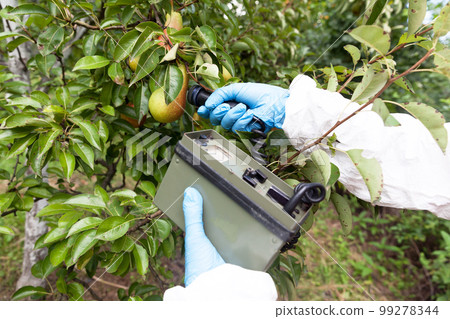 Measuring radiation levels of the fruit 99278344