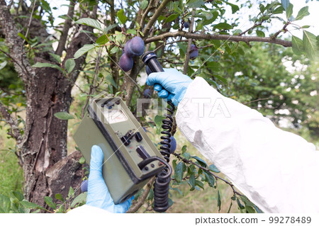 Measuring radiation levels of the fruit 99278489