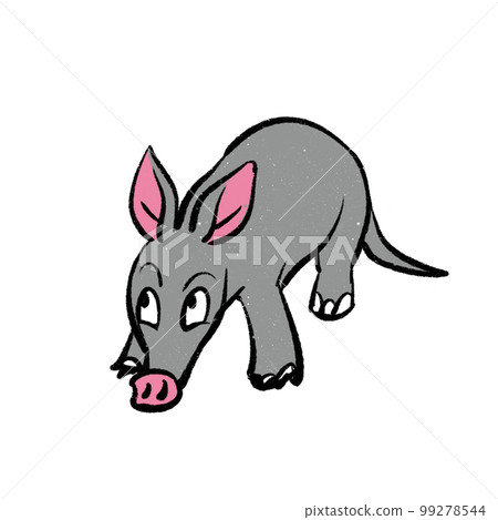 Aardvark illustration Aardvark illustration 99278544