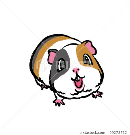豚鼠圖 99278712