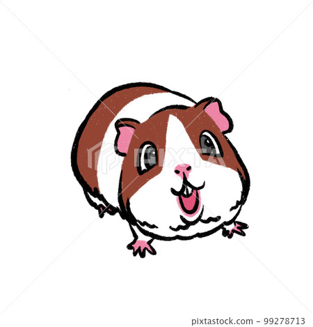 豚鼠圖 豚鼠圖 99278713