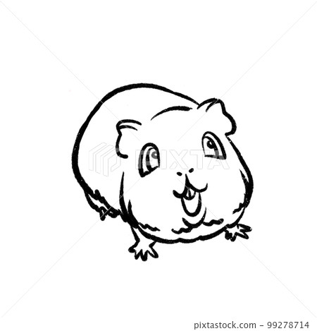豚鼠插圖著色頁 99278714