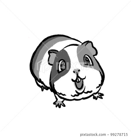 豚鼠插圖單色 99278715