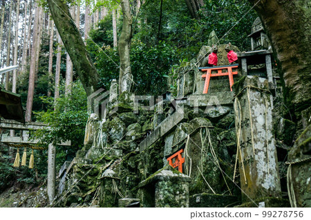 Kyoto Mysterious forest of Fushimi Inari Taisha dyed in deep green Kyoto Mysterious forest of Fushimi Inari Taisha dyed in deep green 99278756