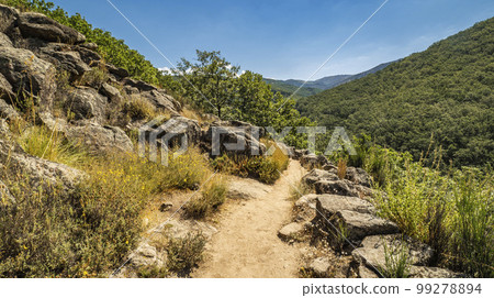 Garganta de los Infiernos Natural Reserve, Valle del Jerte, Spain 99278894