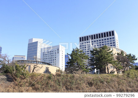 Sophia University 99279296