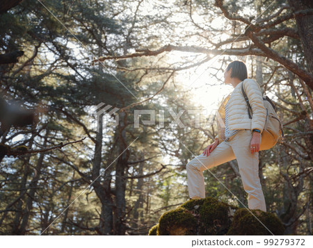 woman enjoys nature, beautiful forest in mountains 99279372