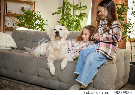 Little school age girl sitting with beloved pet, golden retriver at home interior, inddors. Children look happy and cheerful. Concept of friendship, family, care, animal Little school age girl sitting with beloved pet, golden retriver at home interior, inddors. Children look happy and cheerful. Concept of friendship, family, care, animal 99279928