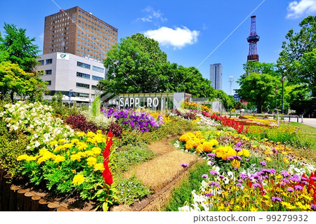 Sapporo Odori Park Sapporo Odori Park 99279932
