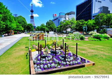 札幌大通公園 99279941