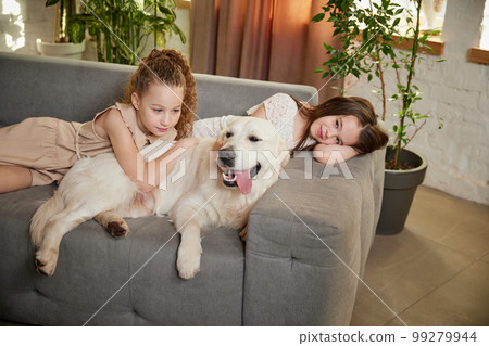 Cute dog, sand color Golden retriver and two sisters, friens at home interior. Beauty, home lifestyle, animal and human emotions concept Cute dog, sand color Golden retriver and two sisters, friens at home interior. Beauty, home lifestyle, animal and human emotions concept 99279944