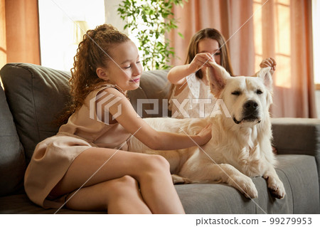 Little school age girl playing with beloved pet, golden retriver at home interior, inddors. Children look happy and cheerful. Concept of friendship, family, care, animal Little school age girl playing with beloved pet, golden retriver at home interior, inddors. Children look happy and cheerful. Concept of friendship, family, care, animal 99279953