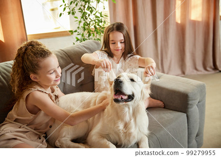 Little school age girl playing with beloved pet, golden retriver at home interior, inddors. Children look happy and cheerful. Concept of friendship, family, care, animal Little school age girl playing with beloved pet, golden retriver at home interior, inddors. Children look happy and cheerful. Concept of friendship, family, care, animal 99279955