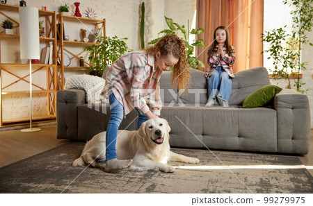 Cute dog, sand color Golden retriver and two sisters, friens at home interior. Beauty, home lifestyle, animal and human emotions concept Cute dog, sand color Golden retriver and two sisters, friens at home interior. Beauty, home lifestyle, animal and human emotions concept 99279975