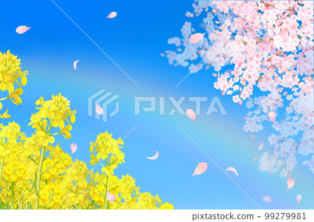 油菜花-天空中的彩虹-春季櫻花相框背景素材，花瓣美麗艷麗 99279981