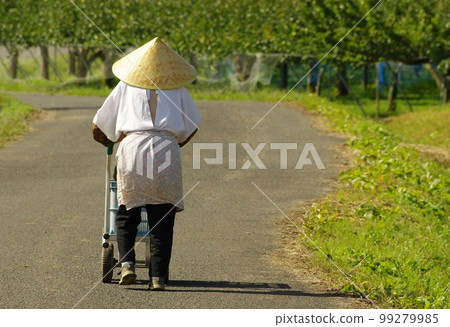 走在田間的老農婦 99279985