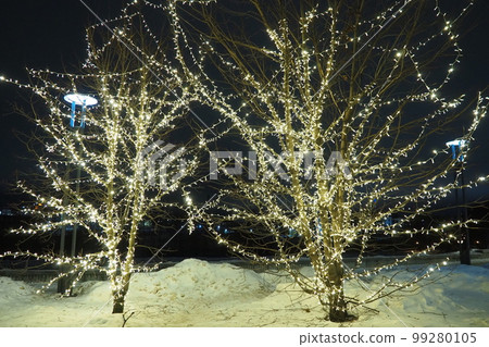 New Year or Christmas city night street. Snowdrifts. Tree lighting design. Winding garlands of the trunk and branches. LED Christmas decorations. Garlands - spider and clip light. Electric lighting New Year or Christmas city night street. Snowdrifts. Tree lighting design. Winding garlands of the trunk and branches. LED Christmas decorations. Garlands - spider and clip light. Electric lighting 99280105