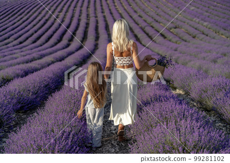 a beautiful girl with brown hair and a blonde girl in white dresses walk together through a lavender field a beautiful girl with brown hair and a blonde girl in white dresses walk together through a lavender field 99281102