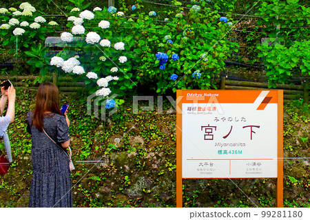 [Kanagawa] Hakone in June: Hydrangea and a woman beside the platform of Miyanoshita Station seen from inside the Hakone Tozan Train 99281180