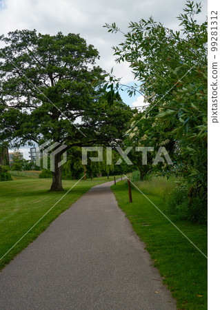 Empty gravel walk path with fresh green trees at day time for background with copy space. Pedestrian zone near lake and hills in Eupope in spring Empty gravel walk path with fresh green trees at day time for background with copy space. Pedestrian zone near lake and hills in Eupope in spring 99281312