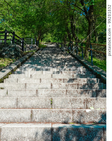 通往越前大野城的階梯(福井縣大野市) 通往越前大野城的階梯(福井縣大野市) 99281832