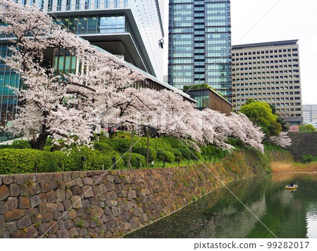 Beautiful row of cherry blossom trees along Benkei Moat Beautiful row of cherry blossom trees along Benkei Moat 99282017