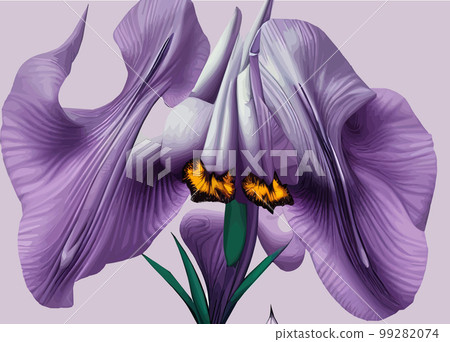 Summer floral print with blue decorative iris flowers, green leaves on white Summer floral print with blue decorative iris flowers, green leaves on white 99282074