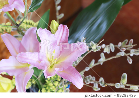 Lily flower, Casablanca 99282459