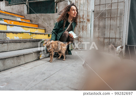 Beautiful brunette woman touching cat on the street of Istanbul 99282697