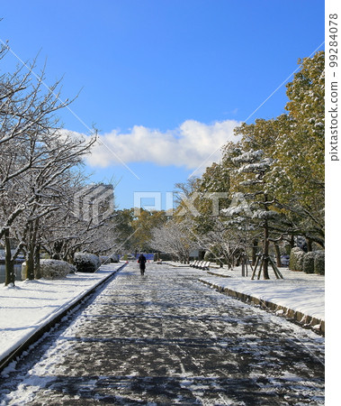 廣島城堡 99284078