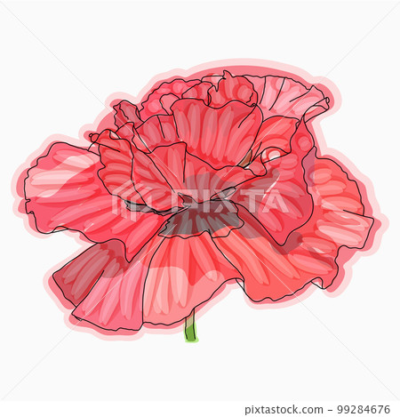 Ink, pencil, watercolor poppy flower sketch. Hand drawn nature painting. Ink, pencil, watercolor poppy flower sketch. Hand drawn nature painting. 99284676
