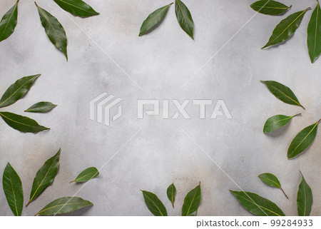 frame of laurel on a gray background. fresh bay leaf. 99284933