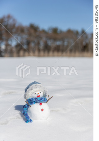 晴朗的雪地和雪人 晴朗的雪地和雪人 99285048