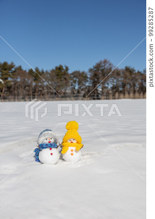 晴朗的雪原和一對雪人 晴朗的雪原和一對雪人 99285287