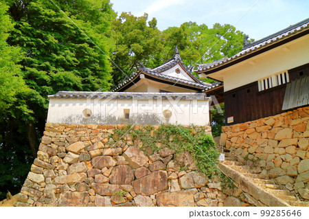 Bitchu Matsuyama Castle Earthen wall that protects the turret and gate Bitchu Matsuyama Castle Earthen wall that protects the turret and gate 99285646
