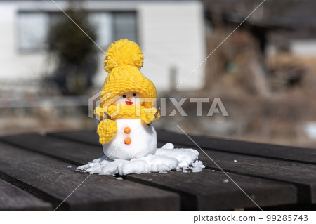 Snowman in the park 99285743