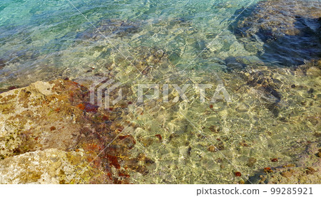 Algae on stones and a transparent sea water near the shore Algae on stones and a transparent sea water near the shore 99285921