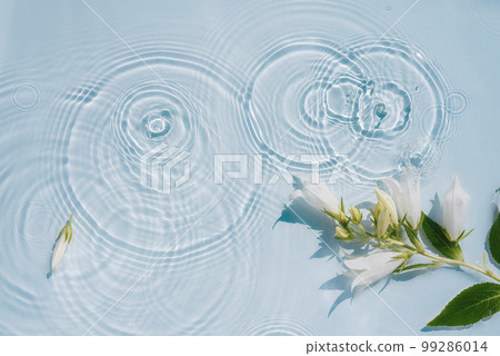 Natural organic water surface background with spring flowers Natural organic water surface background with spring flowers 99286014