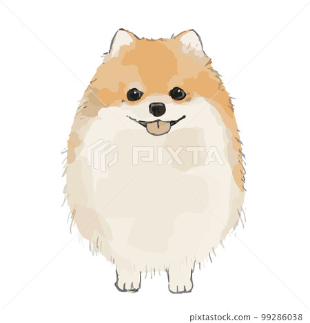 博美犬素描風格插圖 博美犬素描風格插圖 99286038