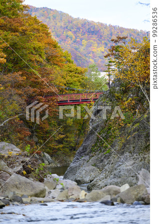 北海道定山溪的“二見吊橋”和紅葉 99286536