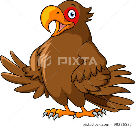 Cute brown cockatoo on white background Cute brown cockatoo on white background 99286583