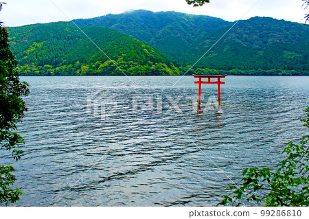 [神奈川]初夏的箱根九頭龍神社湖上的鳥居 99286810
