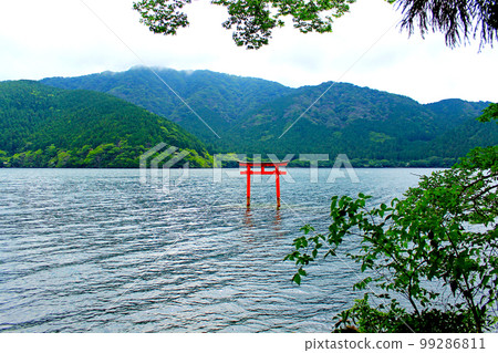[神奈川]初夏的箱根九頭龍神社湖上的鳥居 99286811