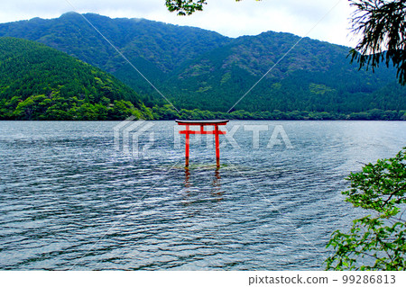 [神奈川]初夏的箱根九頭龍神社湖上的鳥居 99286813
