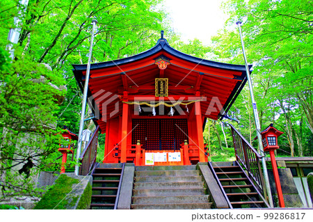 [神奈川縣]初夏的箱根九頭龍神社本殿和生機勃勃的綠色植物 99286817